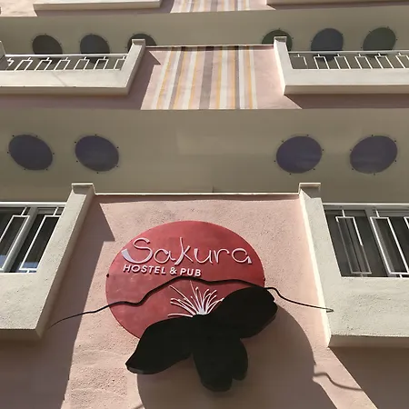 Sakura Hostel *
